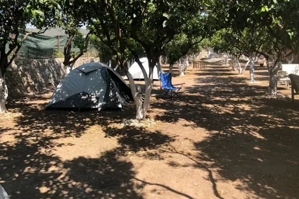 Bodrum Vosvos Camping &amp; Bora Sencer Sanat Köyü - Resim 20