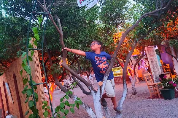 Bodrum Vosvos Camping &amp; Bora Sencer Sanat Köyü - Resim 5
