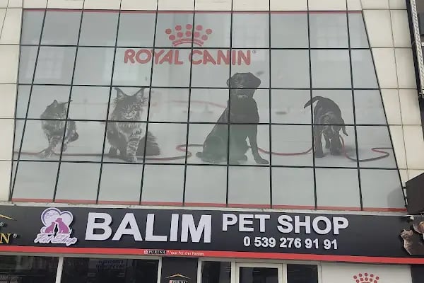 Angora Akvaryum &amp; Petshop - Resim 1