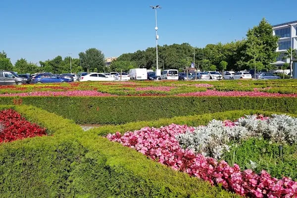 AKYOL-İDO Yalova Feribot İskelesi - Resim 11