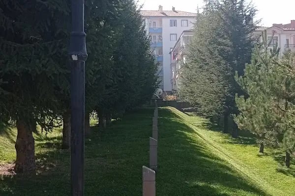 Şehitler Korusu - Resim 13