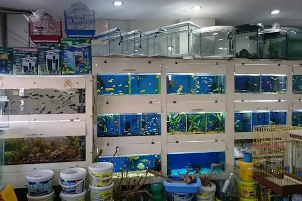 akvaryuss pet shop - Resim 10