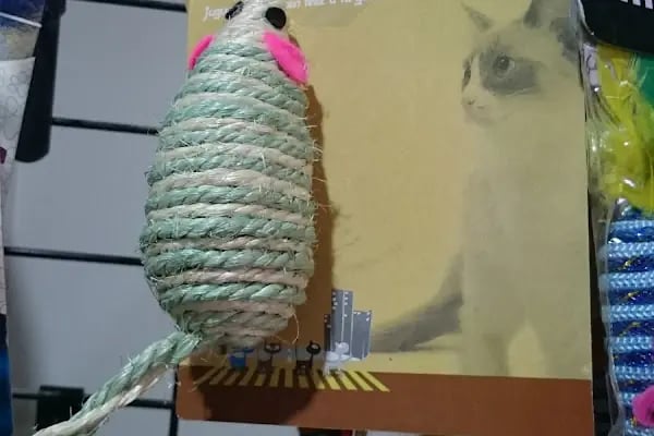 akvaryuss pet shop - Resim 20
