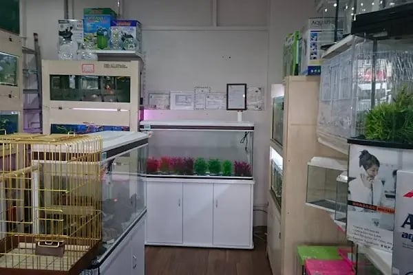 akvaryuss pet shop - Resim 7
