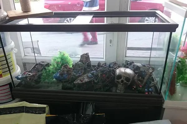 akvaryuss pet shop - Resim 11