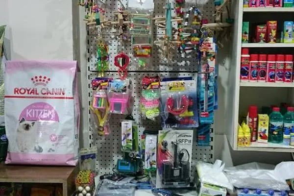 akvaryuss pet shop - Resim 6