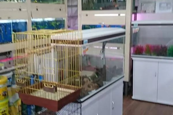 akvaryuss pet shop - Resim 4