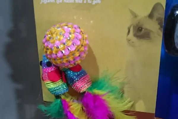 akvaryuss pet shop - Resim 17