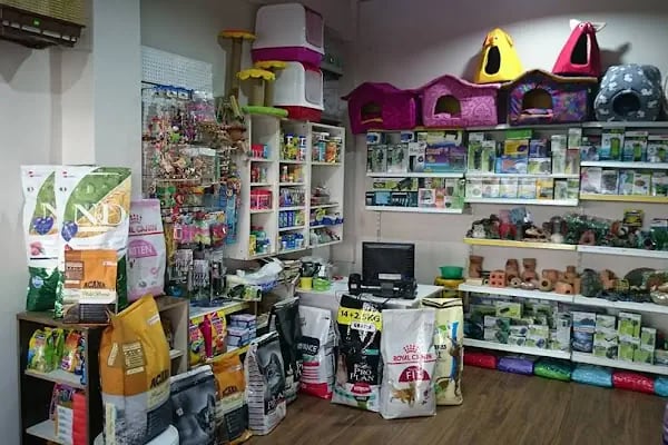 akvaryuss pet shop - Resim 13