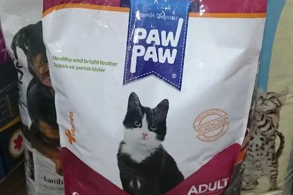 akvaryuss pet shop - Resim 19