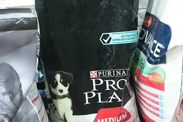 akvaryuss pet shop - Resim 16
