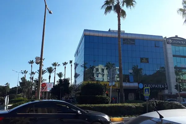 Opr. Dr. Serap Köksal Adar - Resim 6