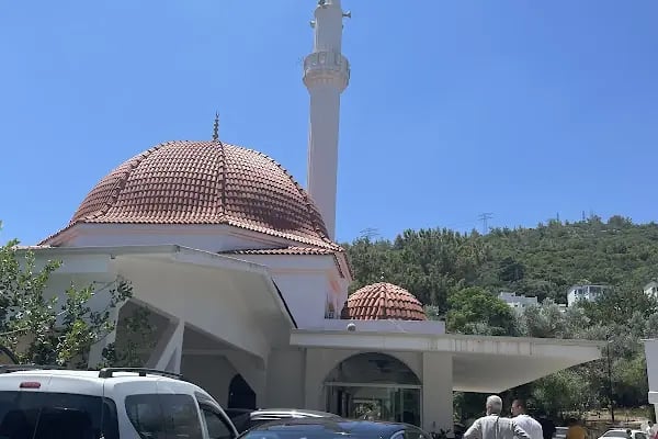 Torba camii - Resim 8