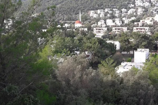 Torba camii - Resim 7