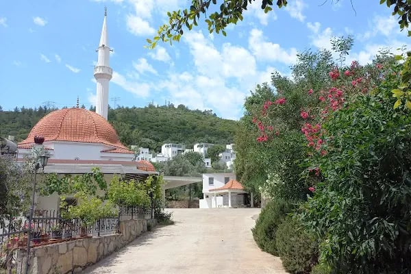 Torba camii - Resim 2