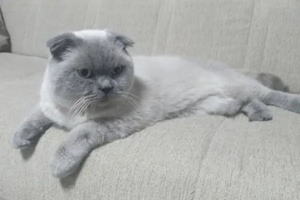 Mavi Pet Shop ve akvaryum dünyası - Resim 19