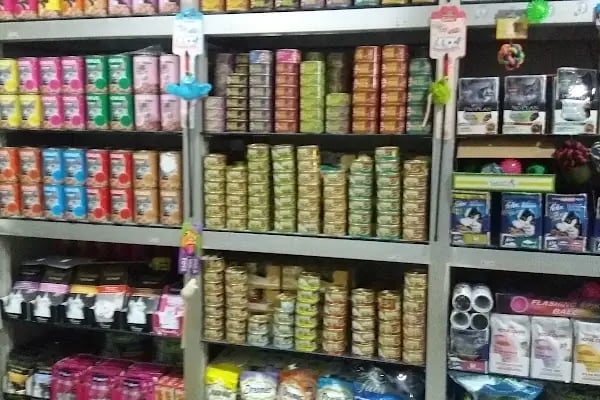 Mavi Pet Shop ve akvaryum dünyası - Resim 7