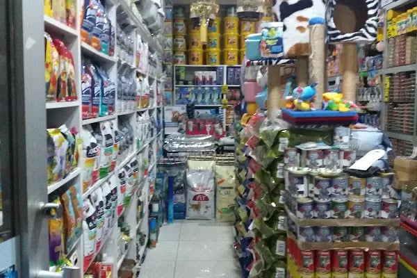 Mavi Pet Shop ve akvaryum dünyası - Resim 3