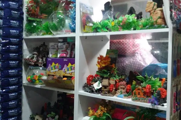 Mavi Pet Shop ve akvaryum dünyası - Resim 2