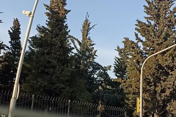 Kocasinan Mezarlığı - Resim 12