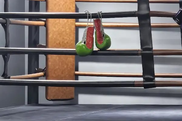 Fight World - Resim 3