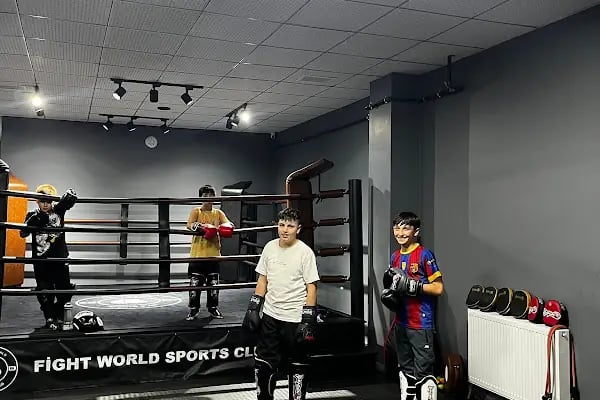Fight World - Resim 10