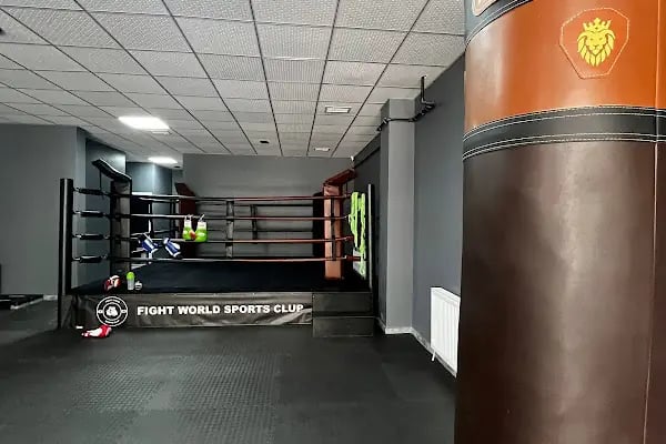 Fight World - Resim 7