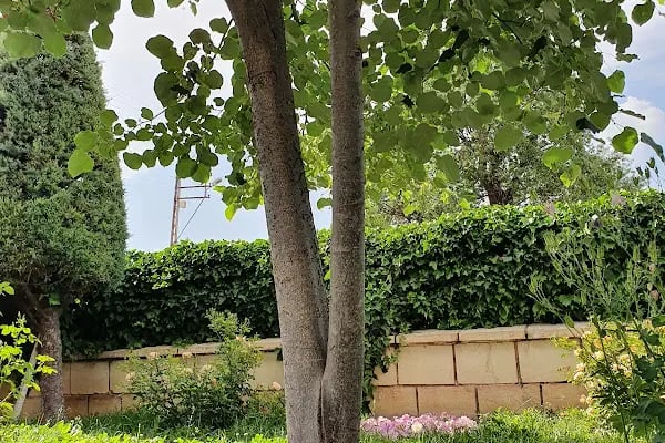 Ateşbazı Veli Türbesi - Resim 9