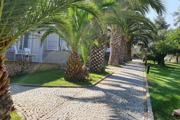 Kalem Island Oliviera Resort - Resim 11
