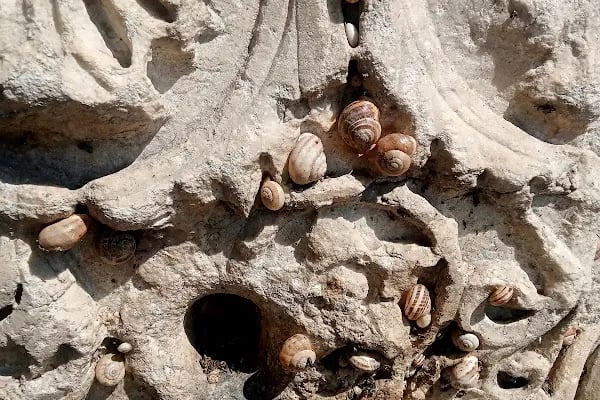 Thyateira Tepe Mezarları - Resim 14
