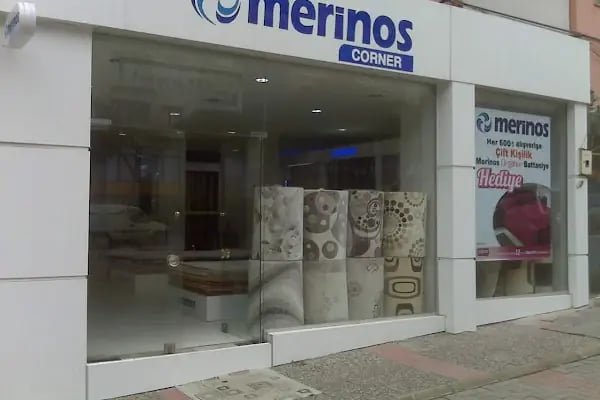 Merinos - Resim 3