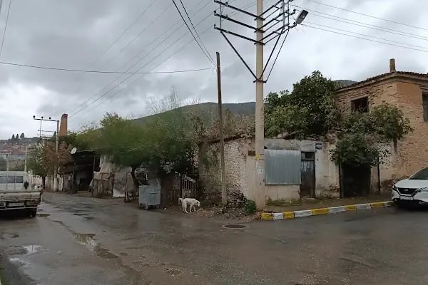 Tarihi Zeytinyağı Fabrikası - Resim 4