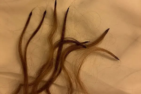 Cuts by Celal - Resim 18