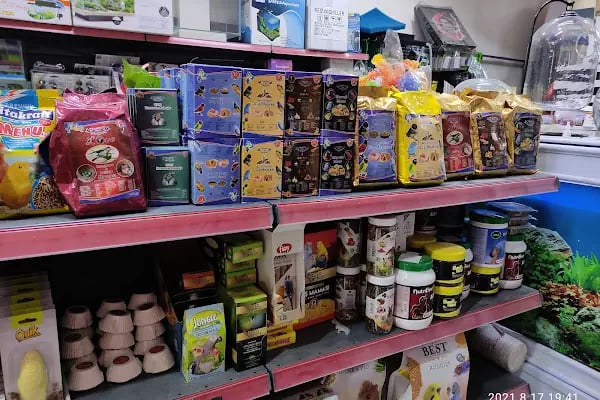 IŞIK PETSHOP - Resim 6