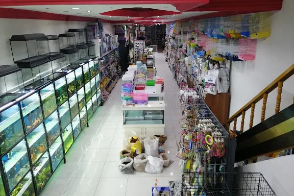 IŞIK PETSHOP - Resim 2