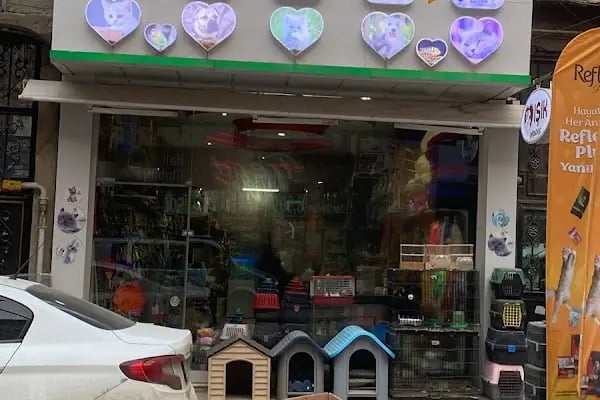 IŞIK PETSHOP - Resim 15