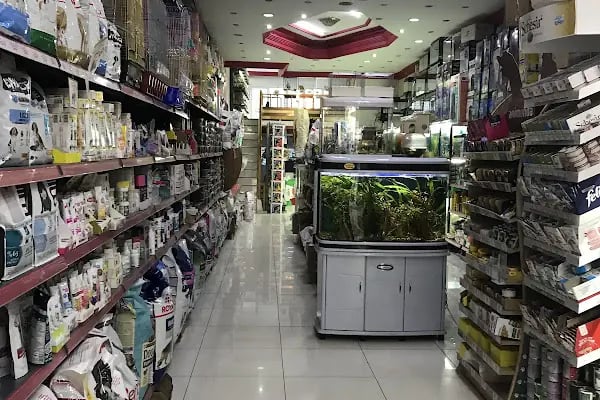 IŞIK PETSHOP - Resim 4