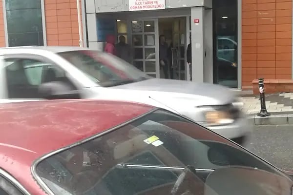 İstanbul İl Göç İdaresi Müdürlüğü, Beşiktaş Çalışma Grup Başkanlığı - Resim 19