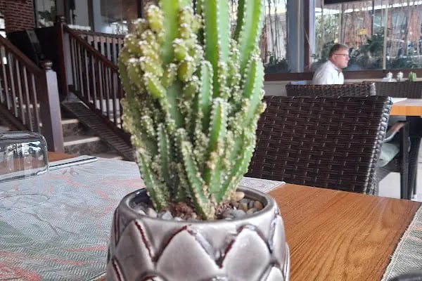 Anna Queen Restaurant - Resim 13