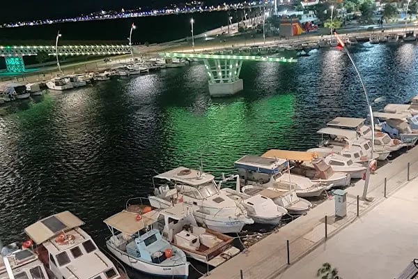 PARK ALİAĞA - Resim 3