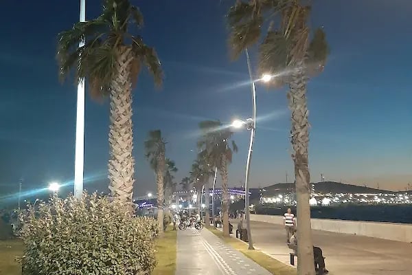 PARK ALİAĞA - Resim 14