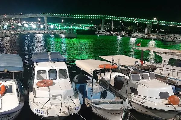 PARK ALİAĞA - Resim 12