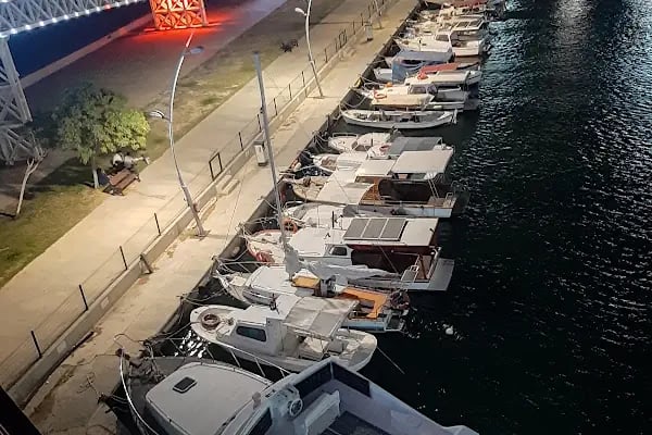 PARK ALİAĞA - Resim 17