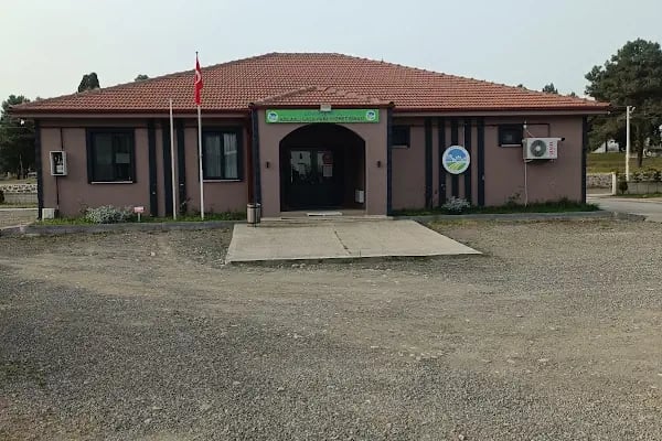 Kocaali Sahil Mezarlığı - Resim 3