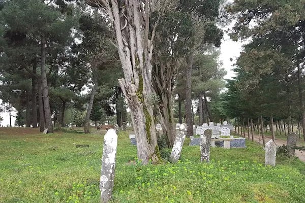 Kocaali Sahil Mezarlığı - Resim 5