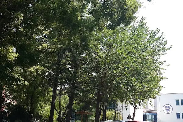 Ankara Üniversitesi Siyasal Bilgiler Fakültesi - Resim 14