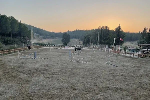 Süvari Binicilik Ve Okçuluk Kulübü - Resim 3