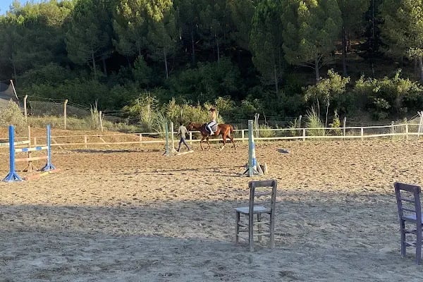 Süvari Binicilik Ve Okçuluk Kulübü - Resim 17