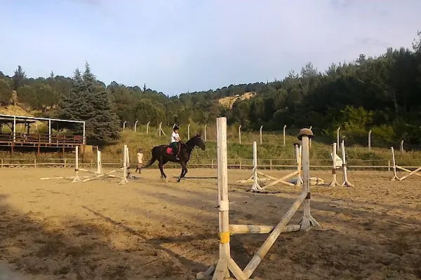Süvari Binicilik Ve Okçuluk Kulübü - Resim 4