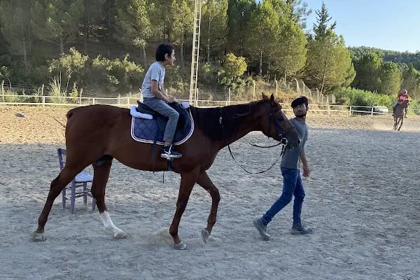 Süvari Binicilik Ve Okçuluk Kulübü - Resim 2